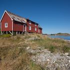 Simonbua, Henningsvær