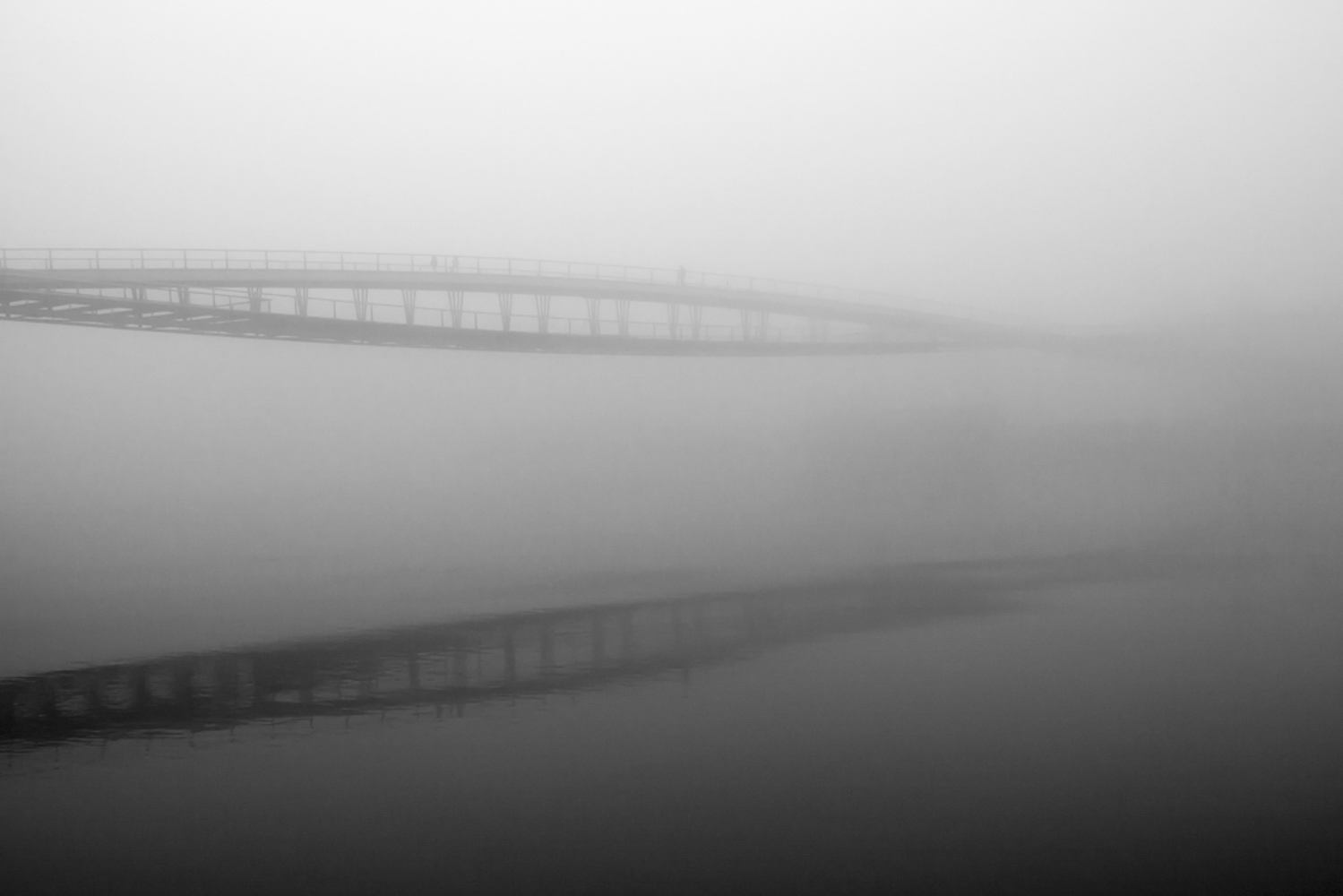 Simone dans le brouillard