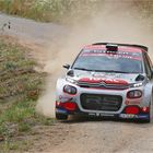 Simone Tempestini / Giovanni Bernacchini - Citroën C3 R5 - ADAC Deutschland Rallye 2018