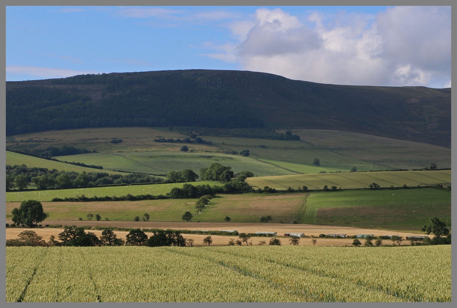 simonside hills 3 from the road to sharperton