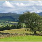 Simonside Hills near Thropton