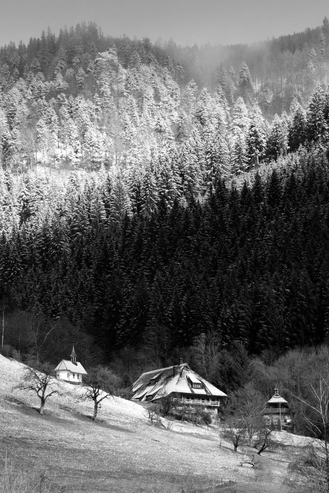 Simonswälder Tal, Schwarzwald von Rainer Schulze RS 