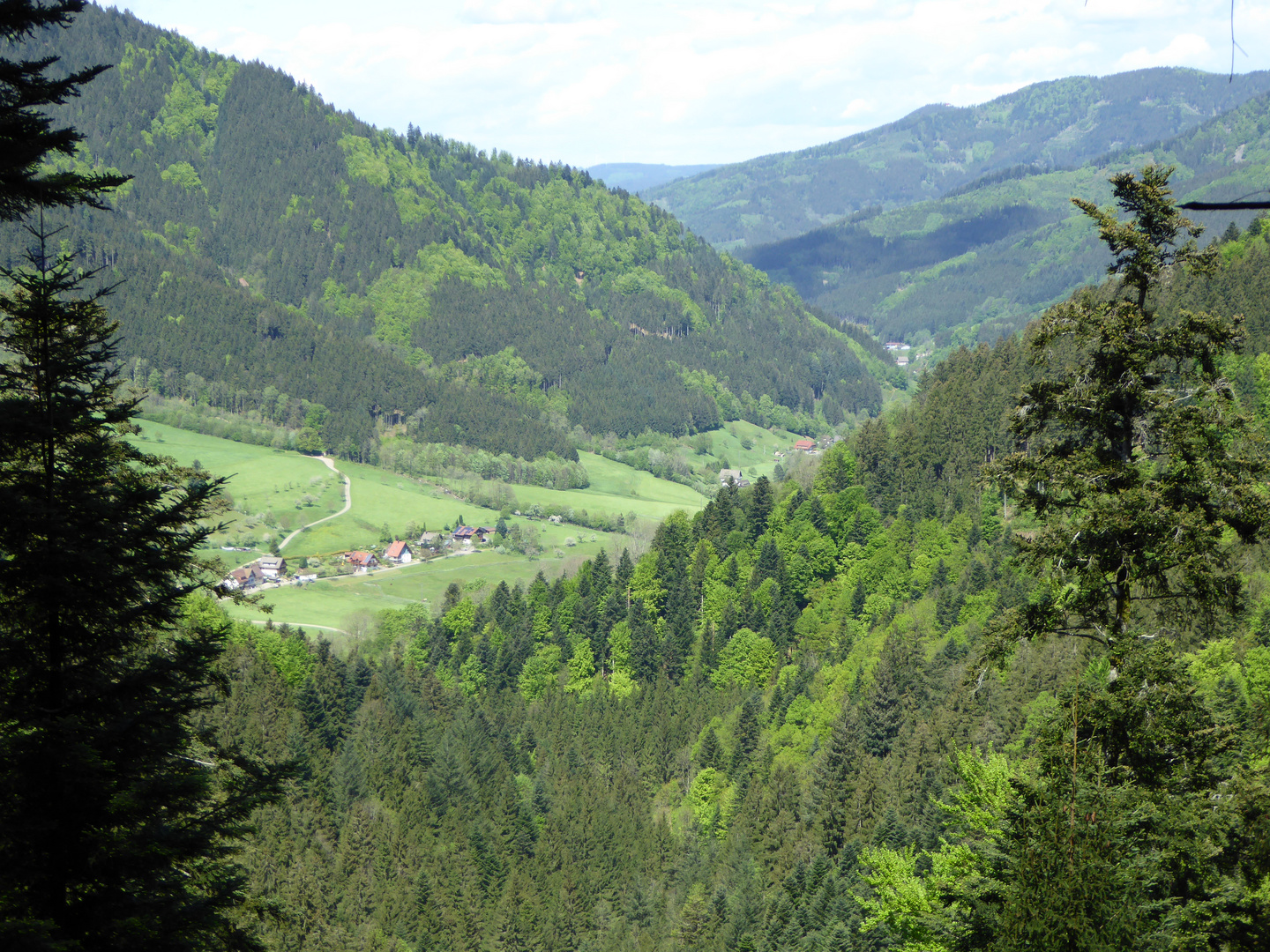 Simonswäldertal