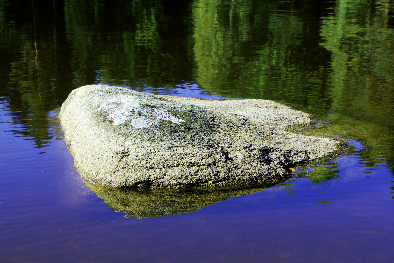 simpel und schön