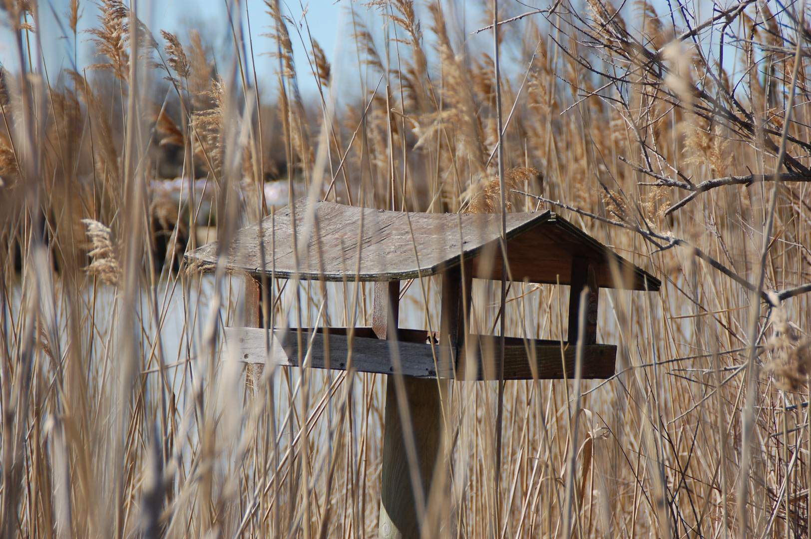 simple decor de camargue