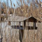 simple decor de camargue