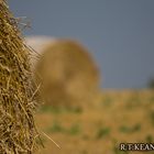 Simple LIfe II - Lombise - Hainaut - Belgium