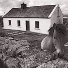 simple life on Inishmore