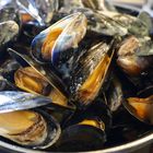 simple pub, perfect mussels