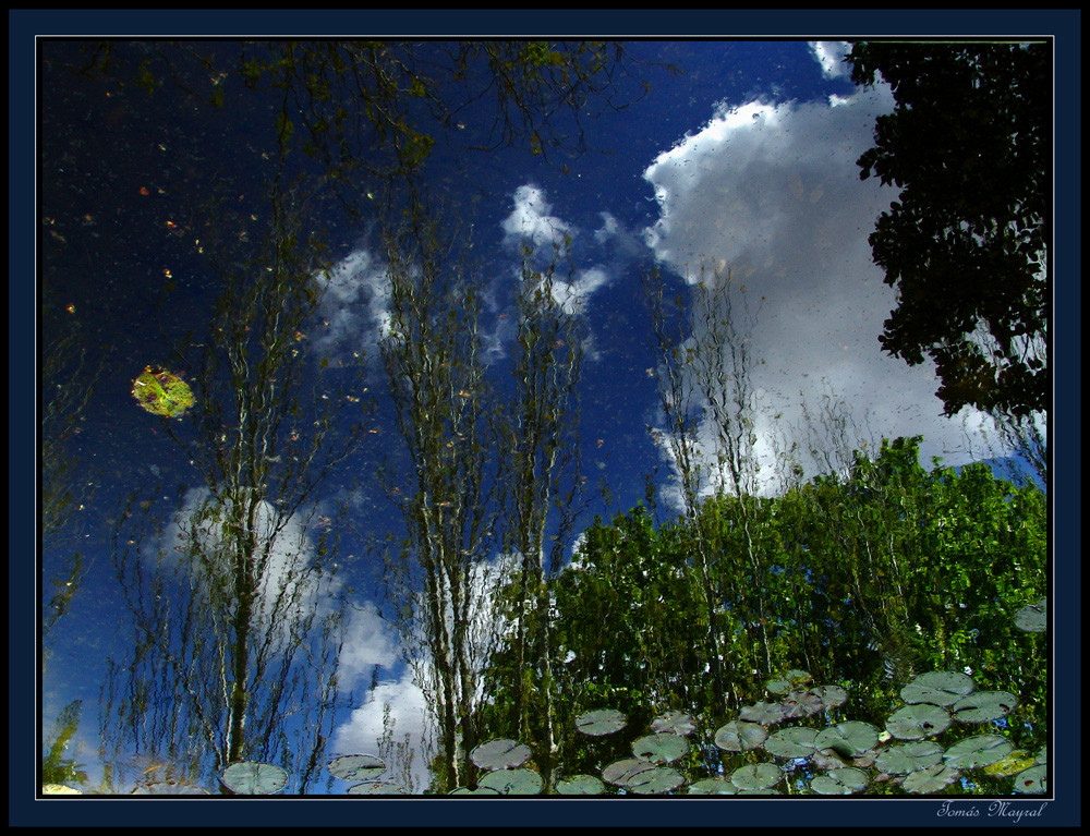 Simplemente Reflejos