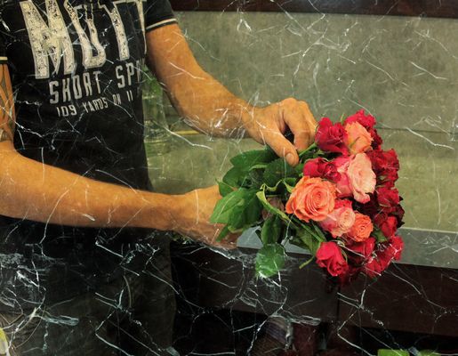 ...simplemente rosas...