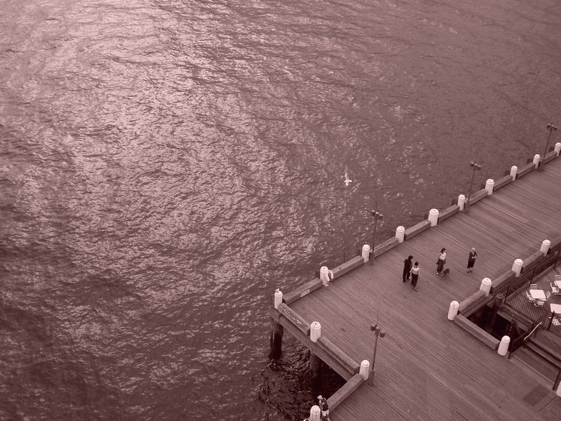 Simplicity - in Sydney's Harbour