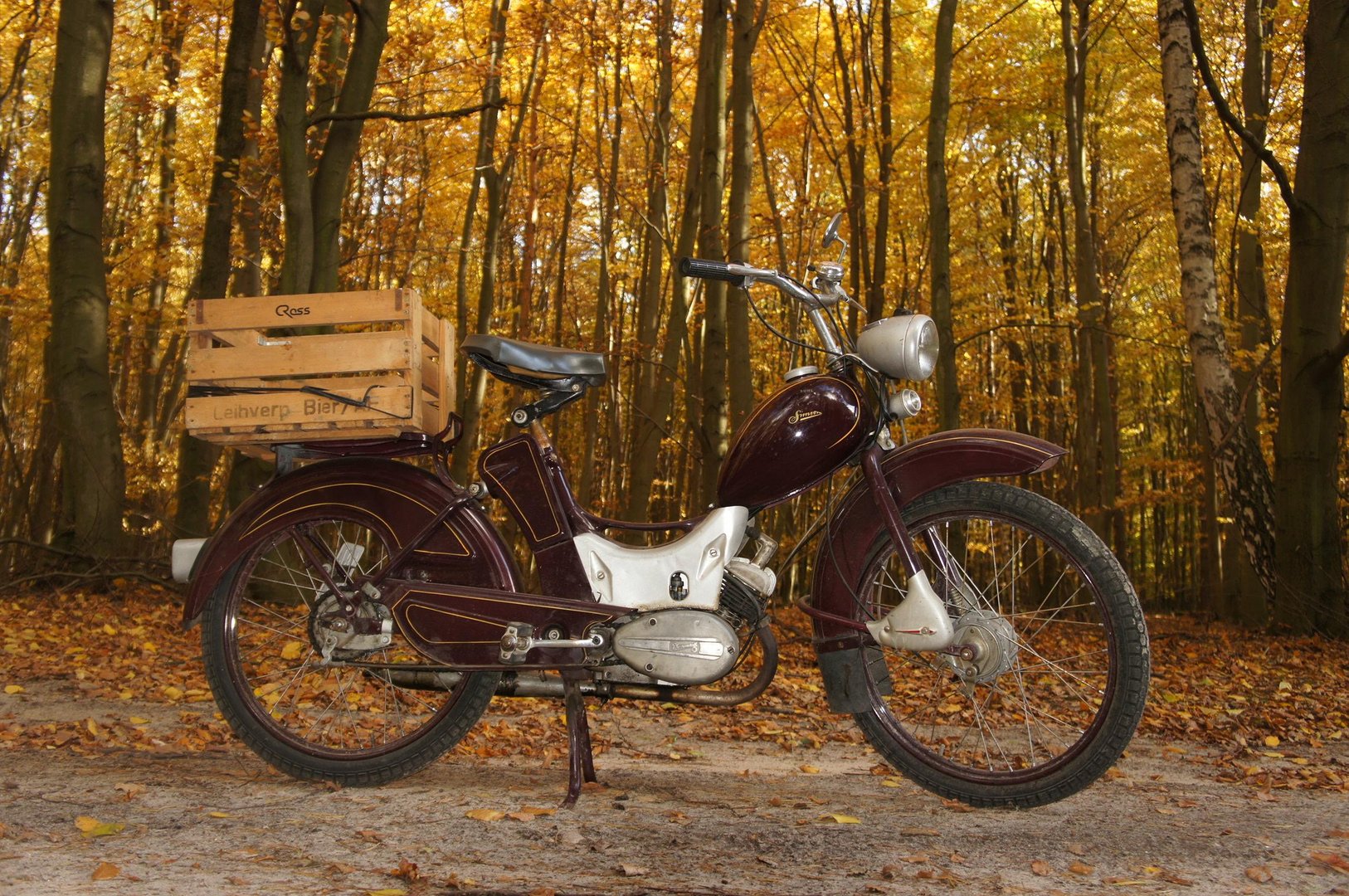 Simson SR2E im Buchenwald