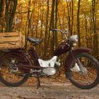 Simson SR2E im Buchenwald