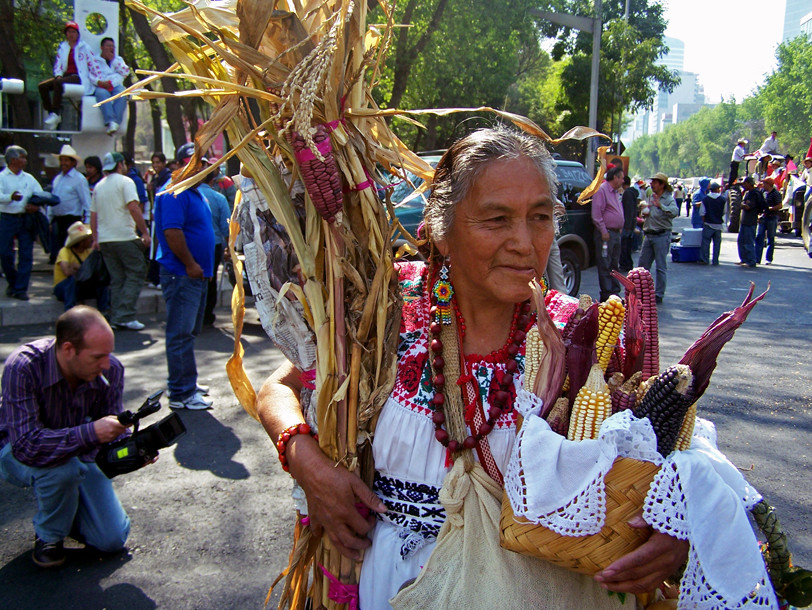 SIN MAÍZ NO HAY PAÍS ! ... Y SIN FRIJOL TAMPOCO