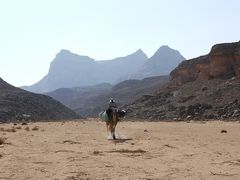 Sinai 2009 - Einer unserer Beduinen ...