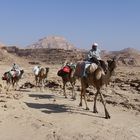 Sinai 2009 - unterwegs in einer einzigartigen Landschaft ...