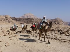 Sinai 2009 - unterwegs in einer einzigartigen Landschaft ...