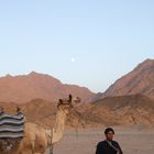 Sinai Egypt