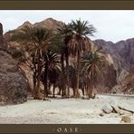 Sinai-Oase