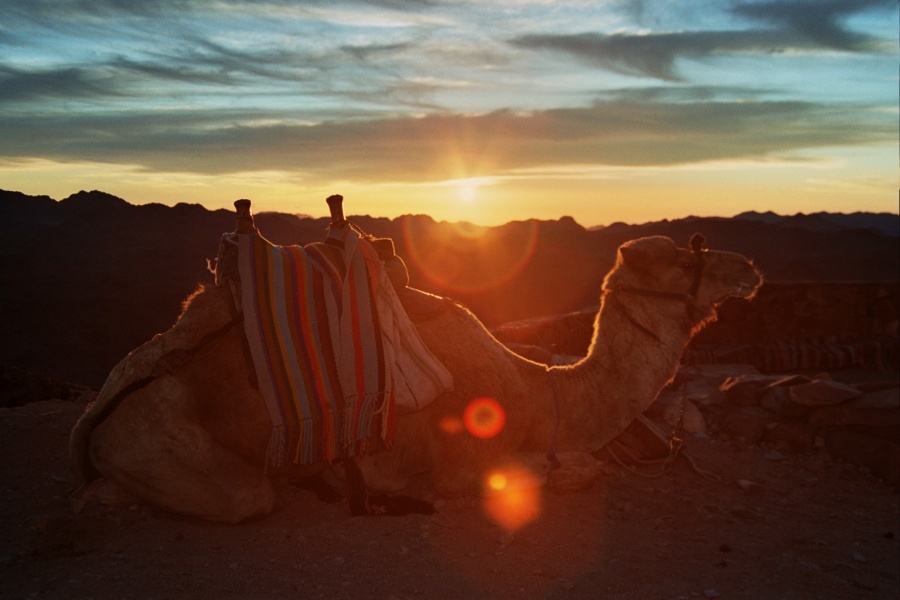 Sinai Sunrise 2