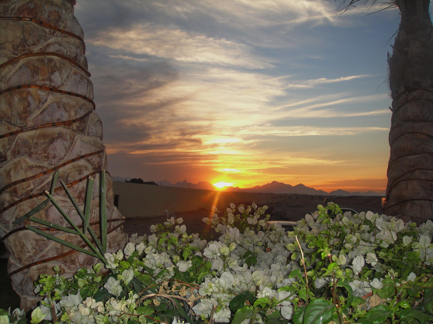 Sinai Sunset