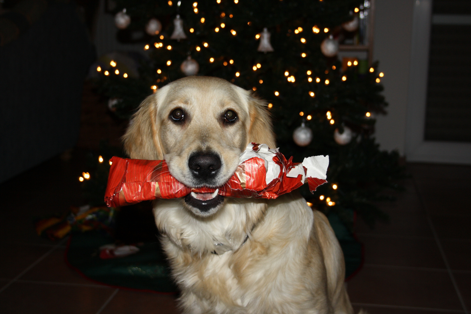 Sina`s erstes Weihnachten