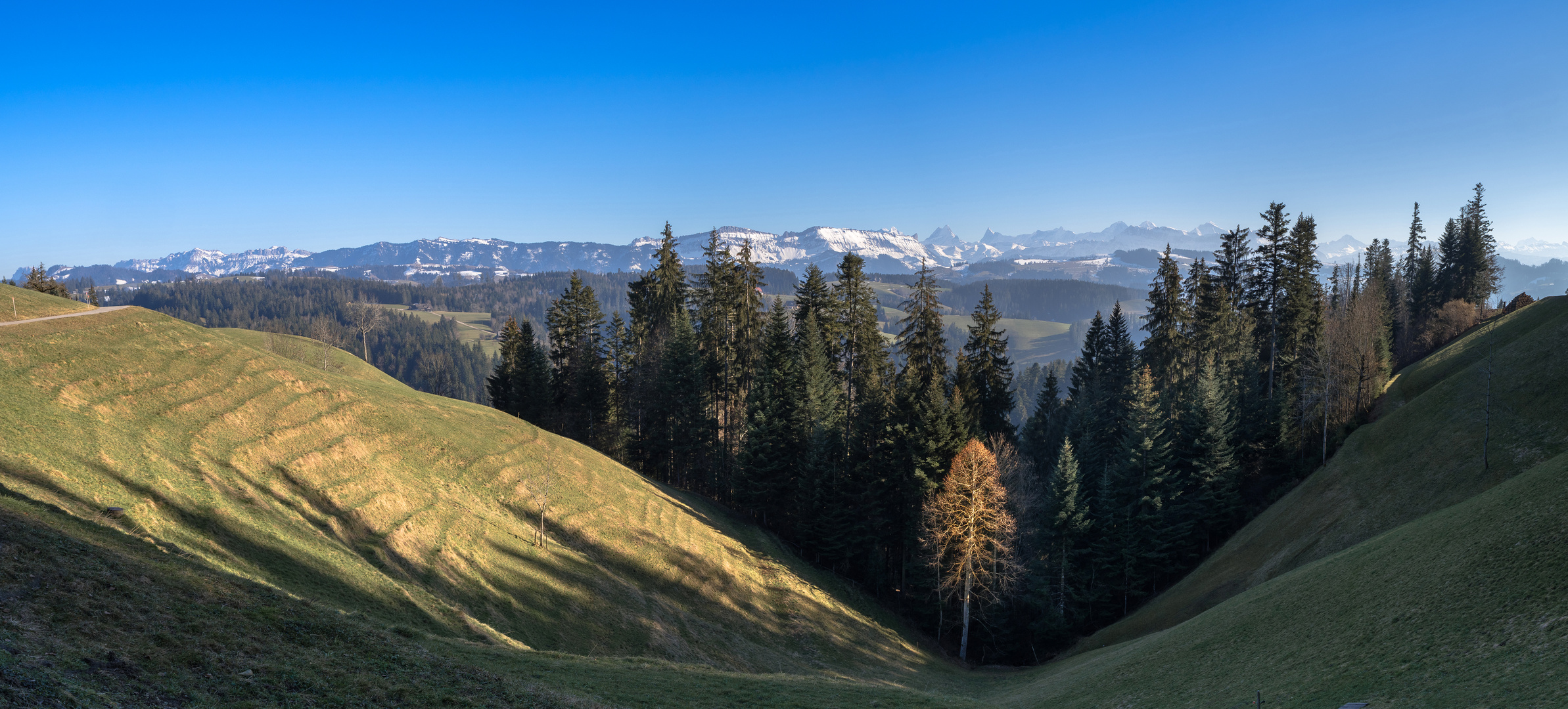 Sind da nicht Frühlingsgefühle ?