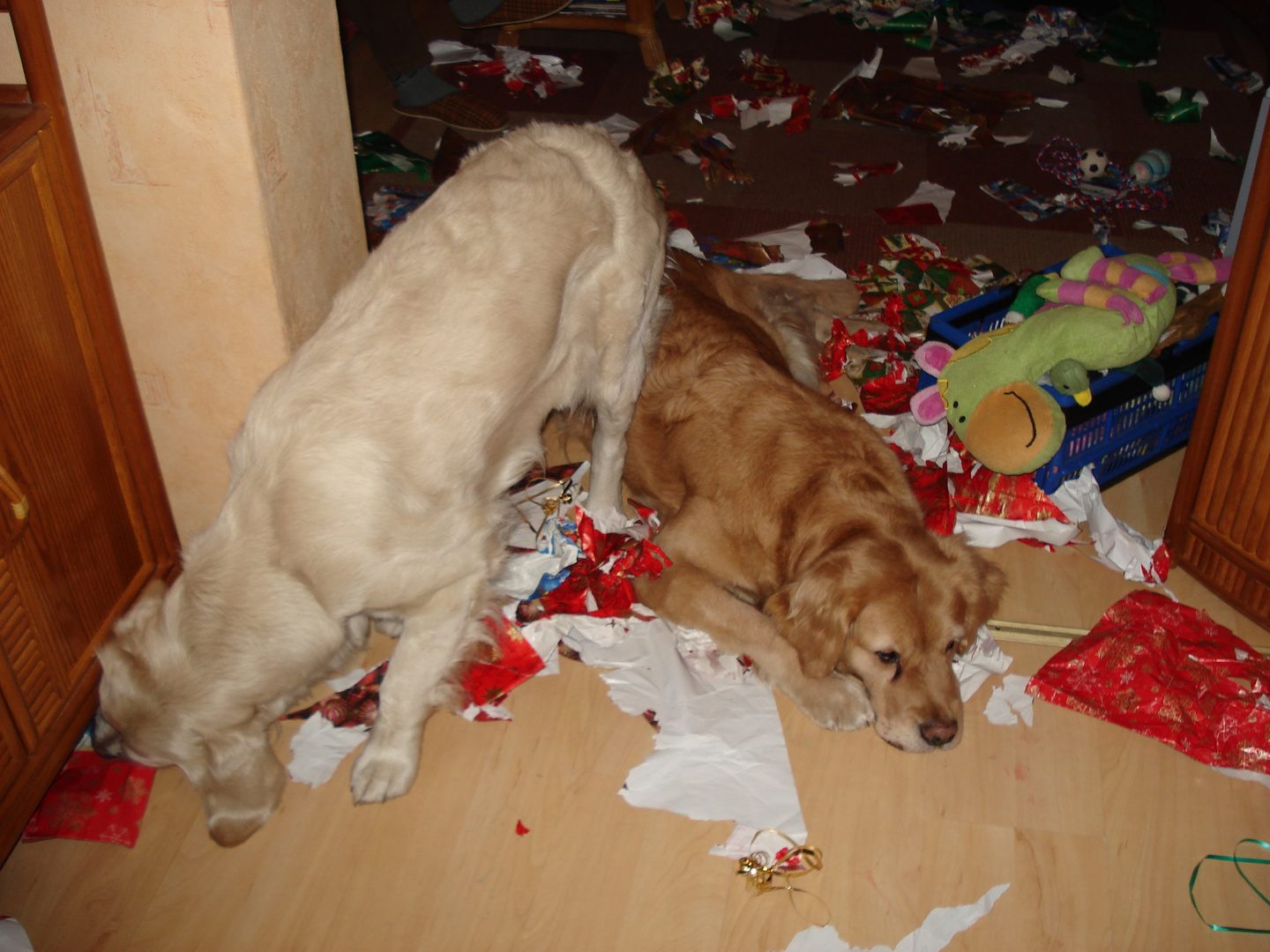 Sind da noch mehr Geschenke? Weihnachten macht Spaß!