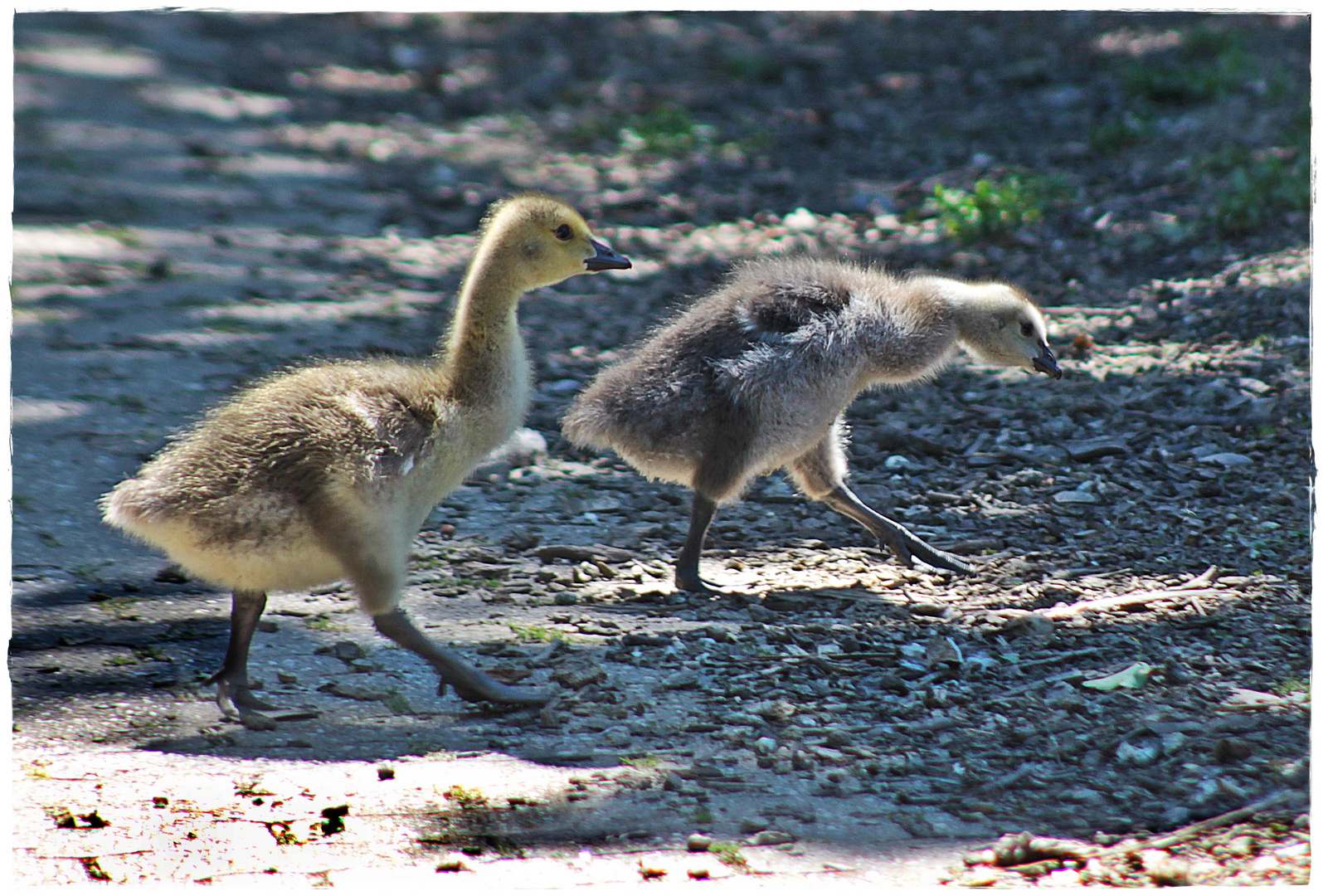 Sind das Mamas Spuren ?