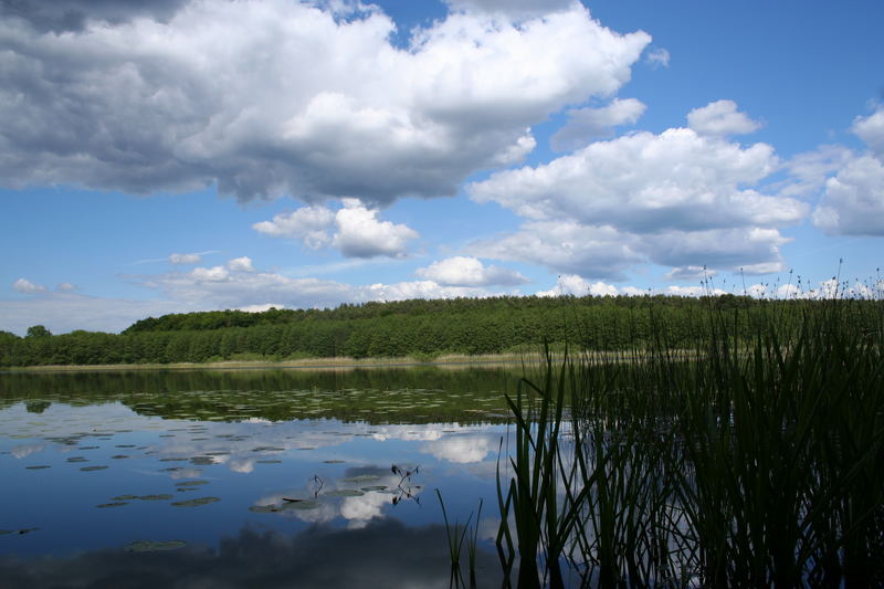 Sind das noch Schäfchenwolken?