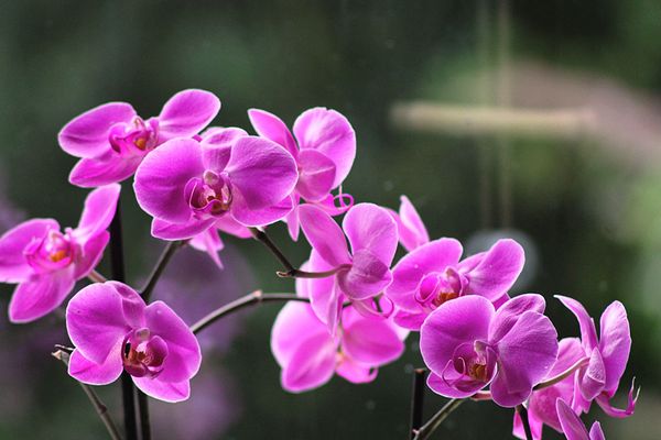 Sind die nicht schön anzusehen?