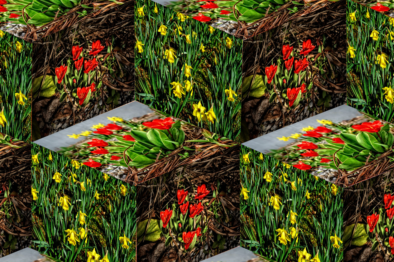 pflanzen für den frühling