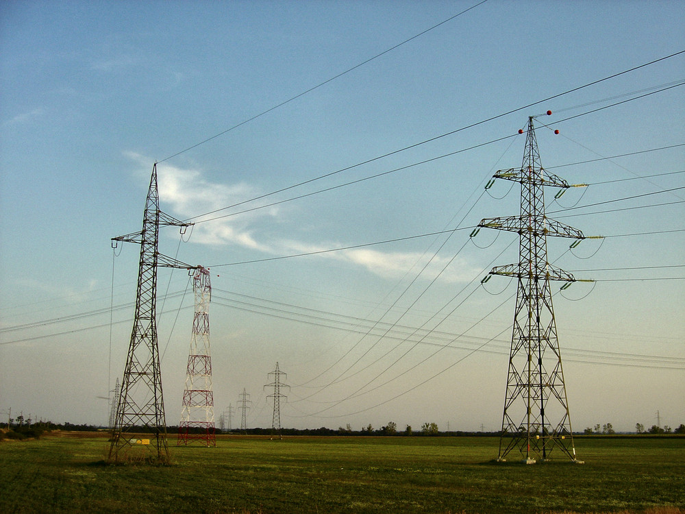 Sind es schöner, als die Windräder?