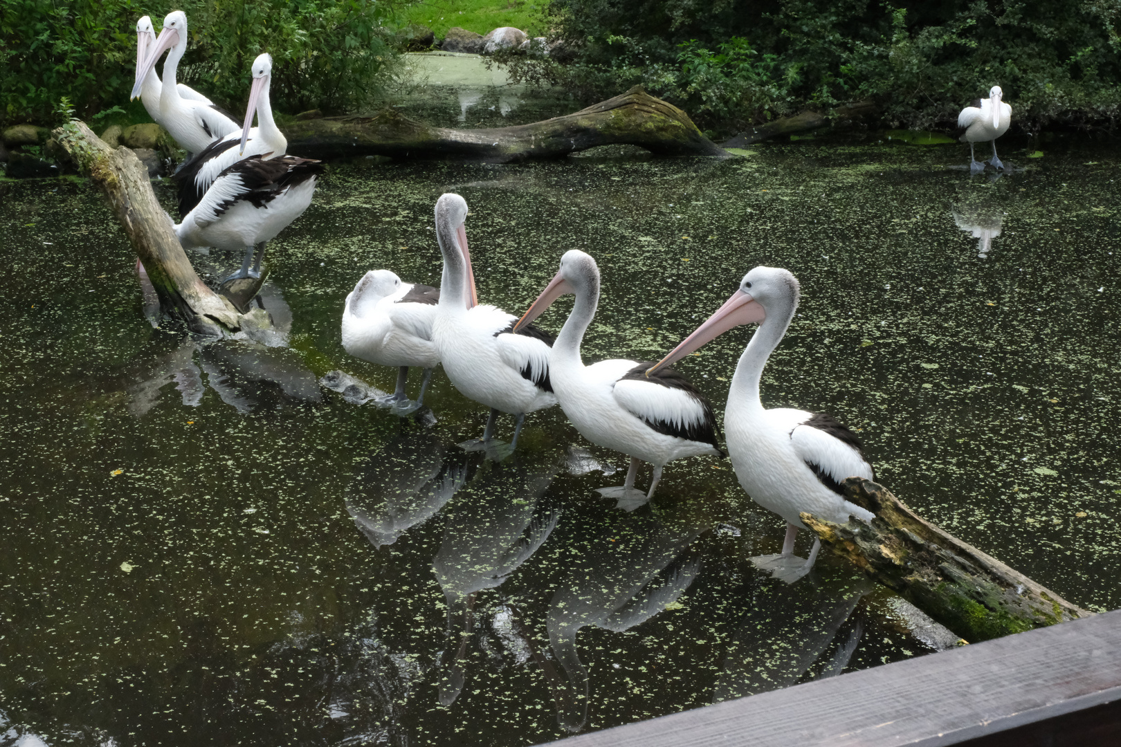 Sind meine Füße im Wasser?