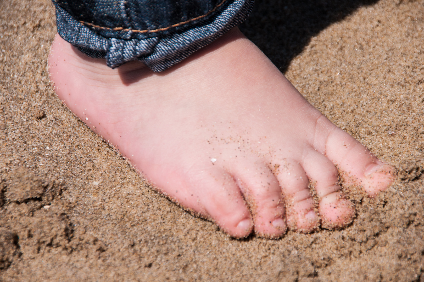 Kleine Muschies Kleine Muschies