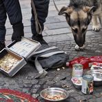 Sind wieder da! (Variante 2)