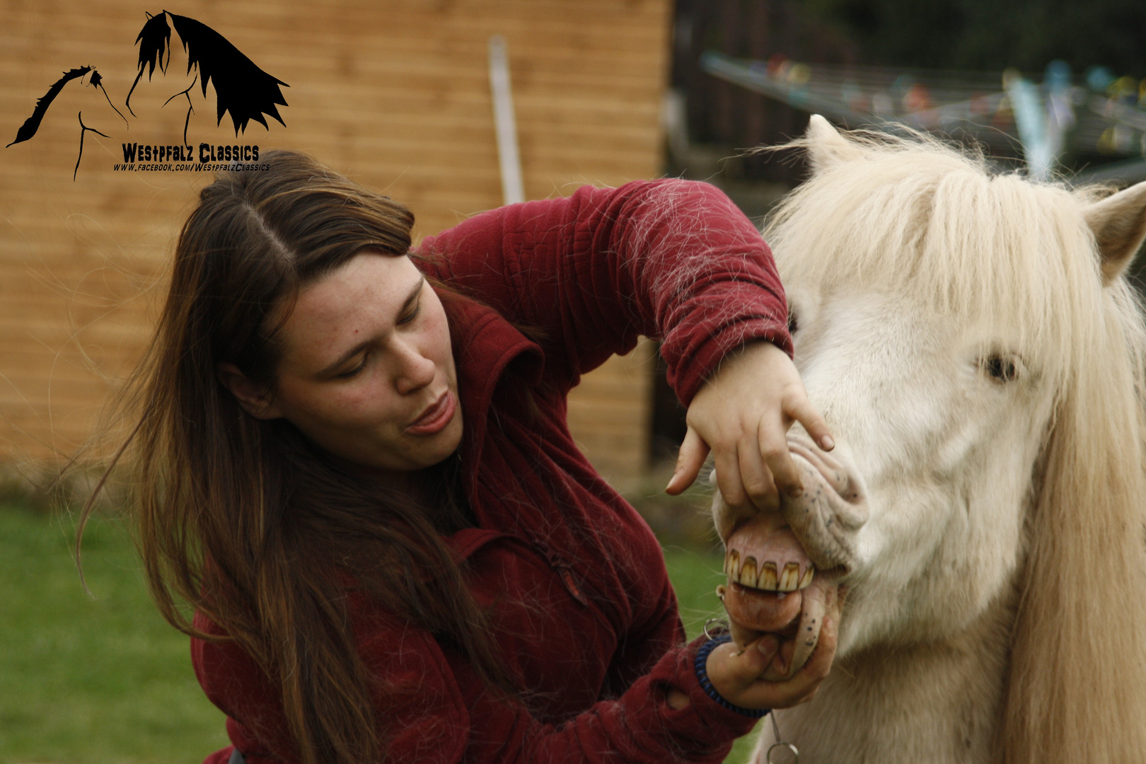 Sind wir nicht alle ein bisschen Bluna Foto &amp; Bild | tiere, haustiere ...