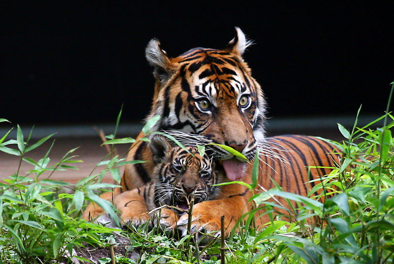 sind wir nicht ein tolles Team.....Mama und ich?