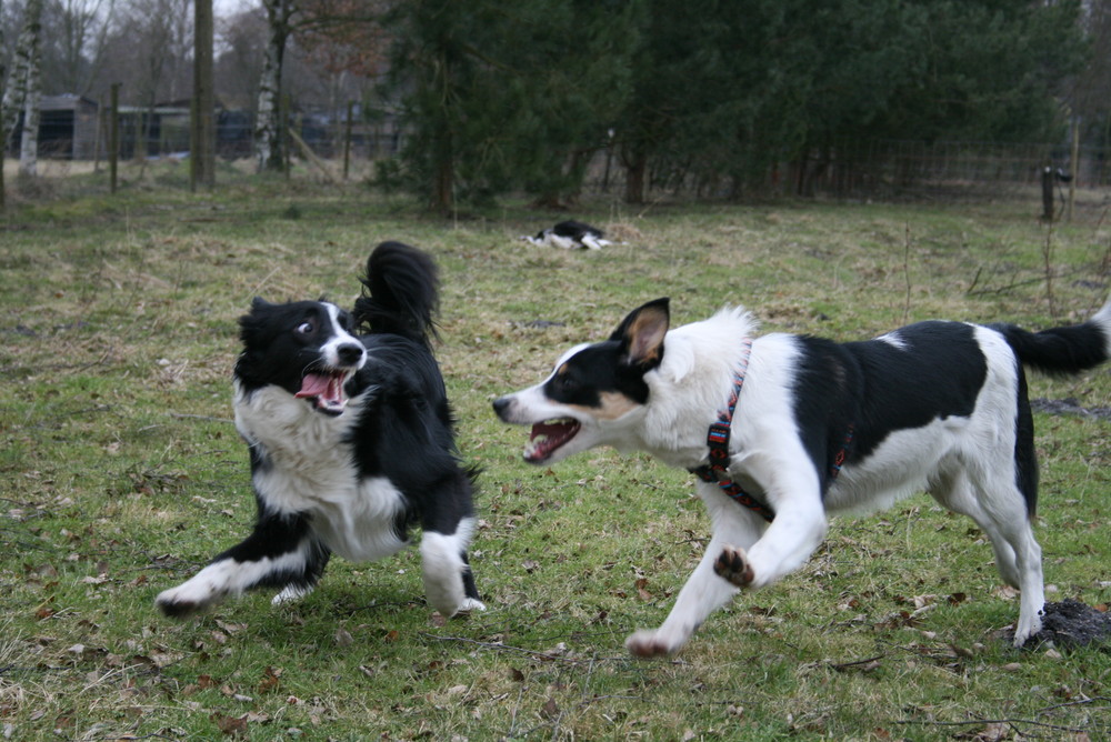 sind wir nicht lieb?