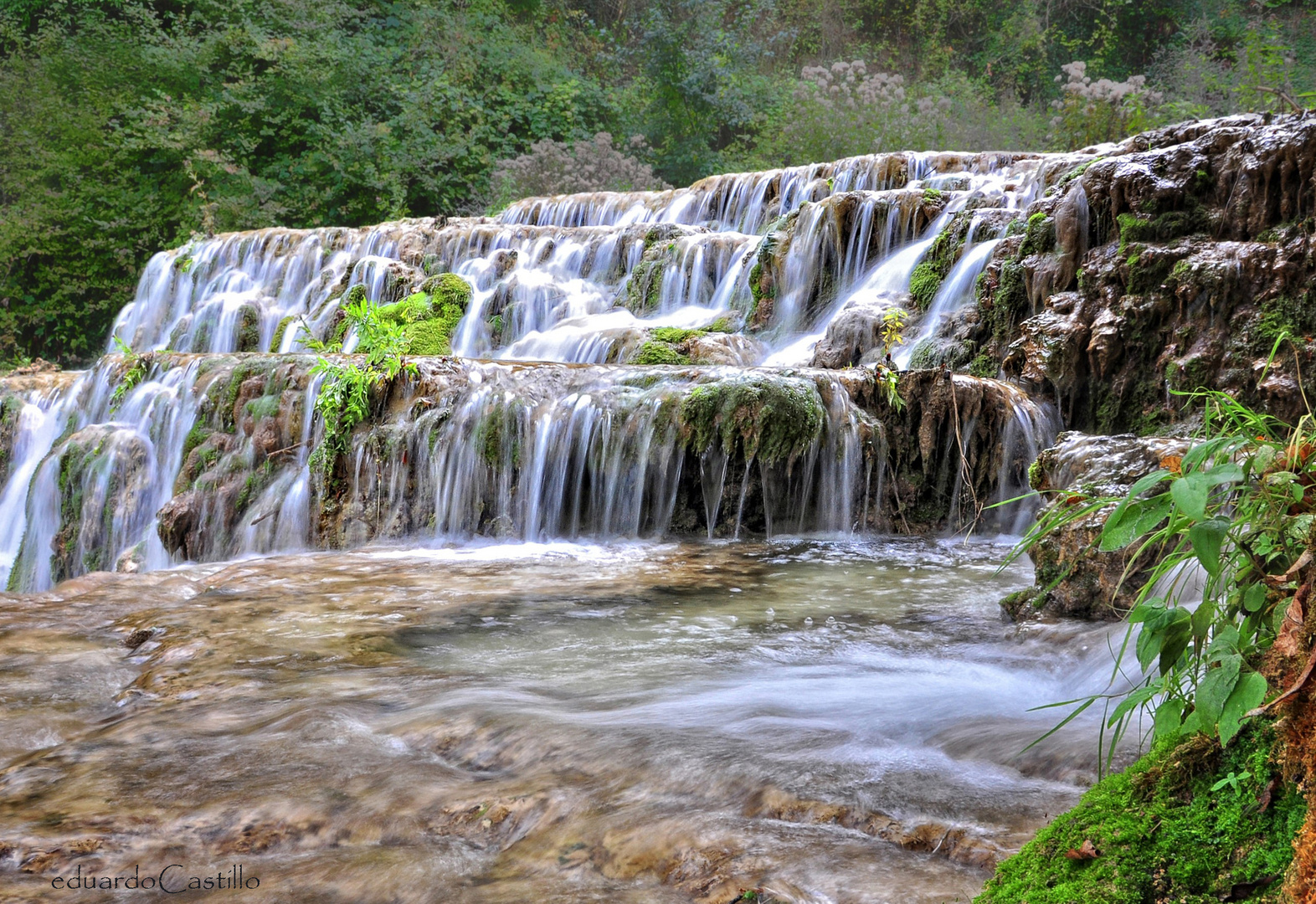 Sinfonía de agua  