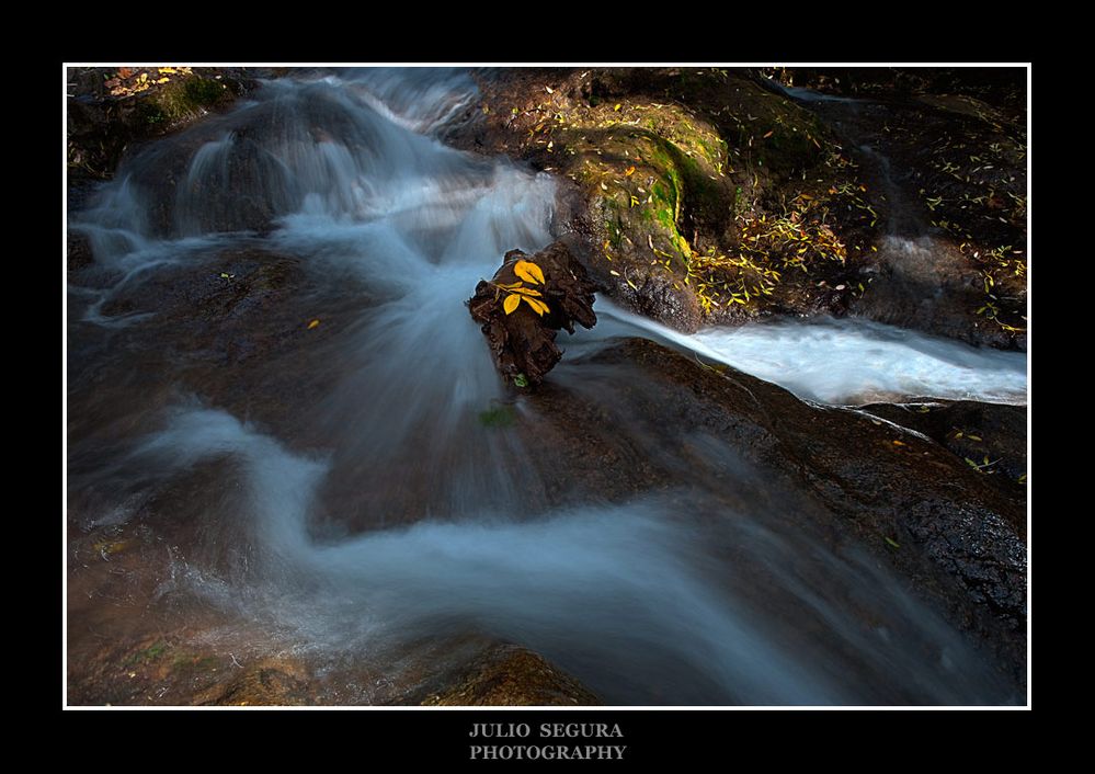 Sinfonía del Agua