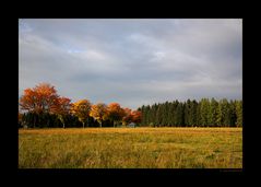 sinfonie der farben