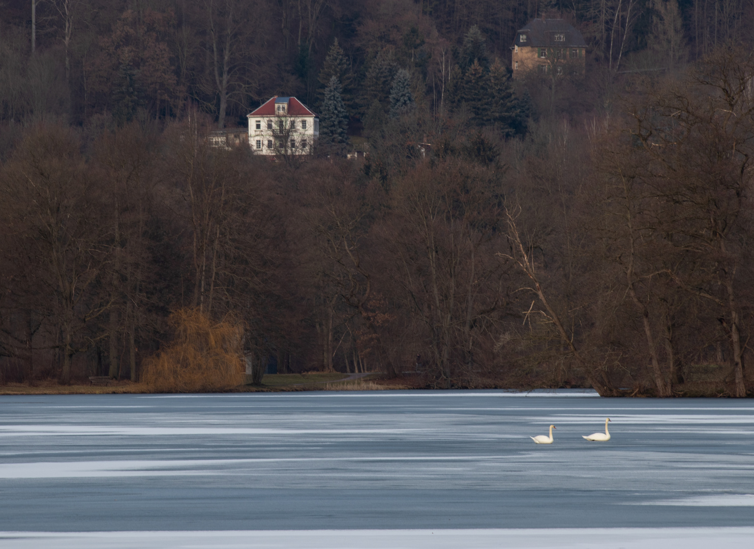 Sinfonie eines Parksees