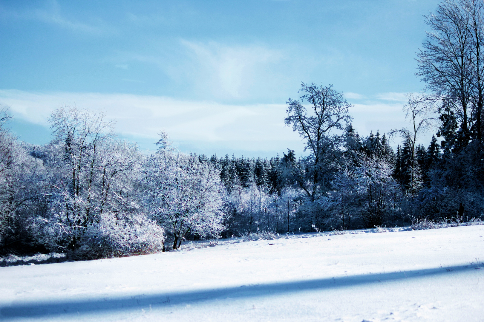 Sinfonie in Blau