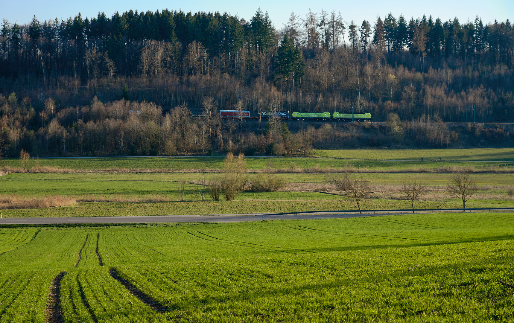 Sinfonie in Grün