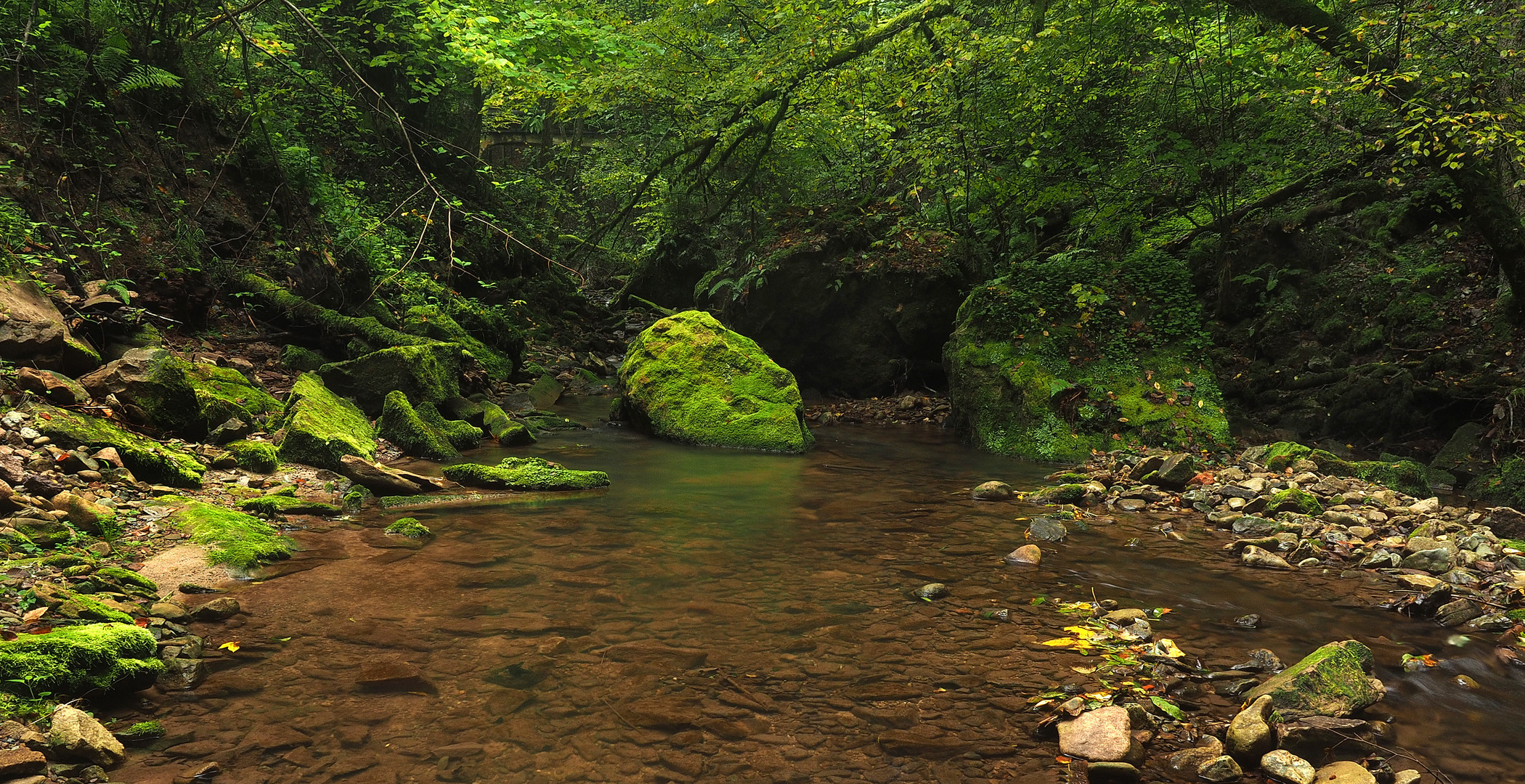 Sinfonie in grün