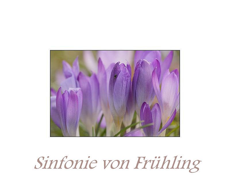 Sinfonie von Frühling