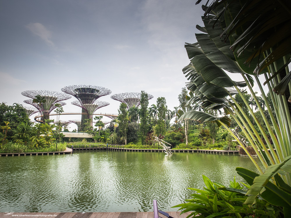 Singapore [12] - Gardens by the Bay