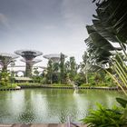 Singapore [12] - Gardens by the Bay